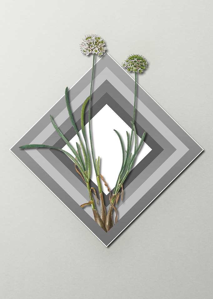 Geometric Flowers on Gray