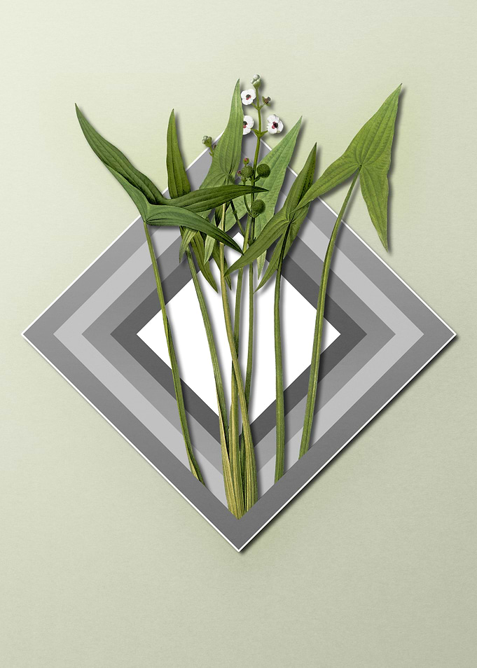Geometric Pastel Arrowhead