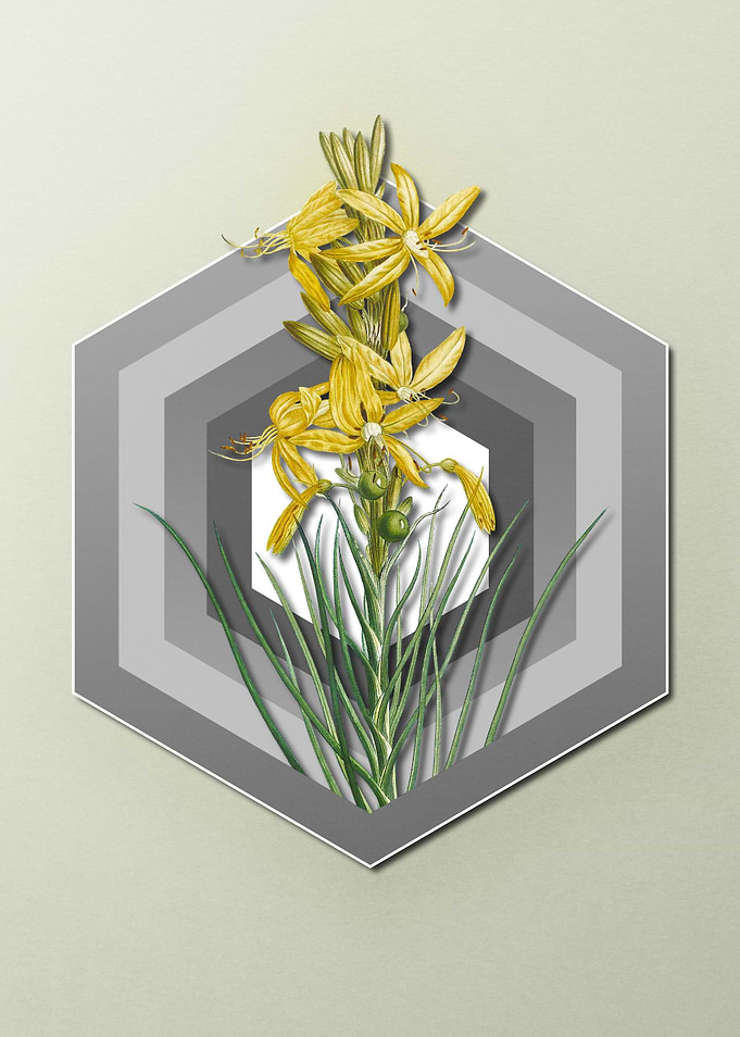 Geometric Floral on Pastel