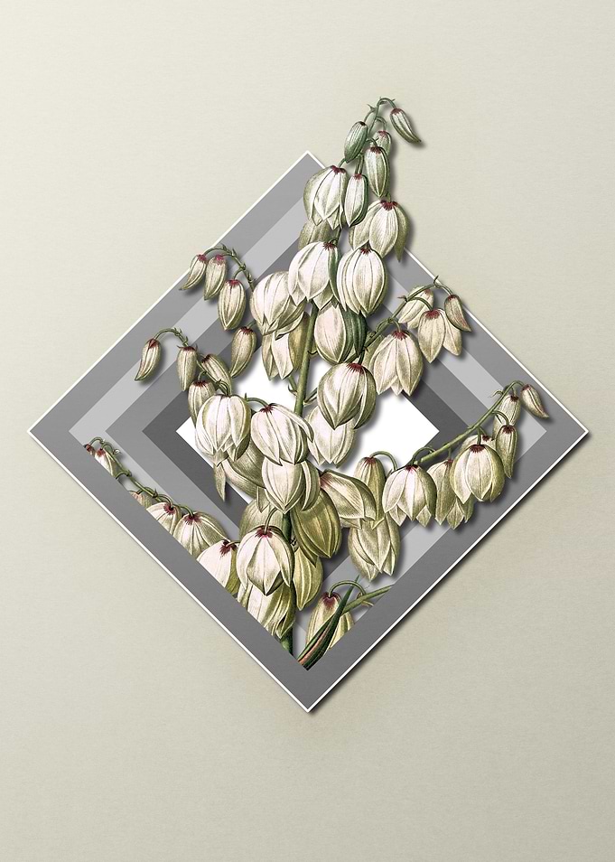 Geometric Aloe Yucca Gray