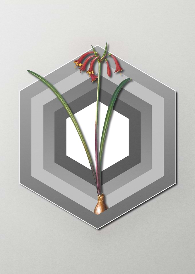 Geometric Floral on Pastel