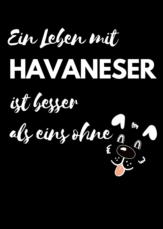 Leben mit Havaneser Hund