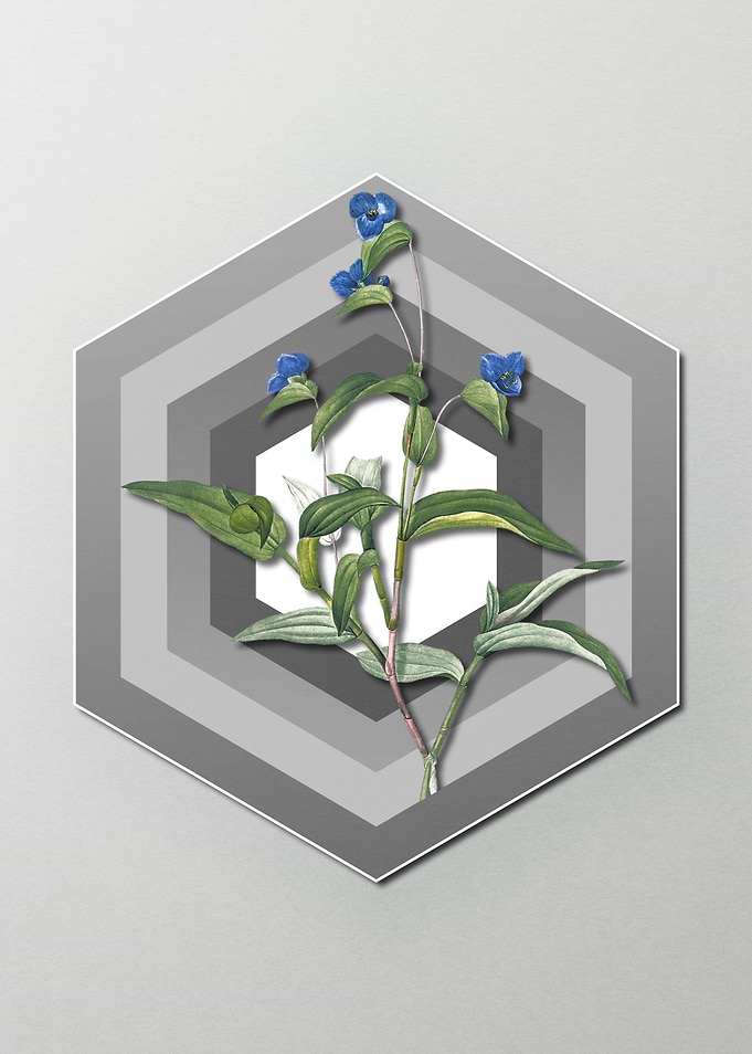 Geometric Floral on Pastel