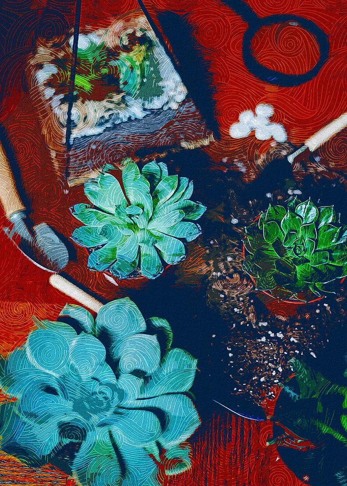 Succulent And Terrarium