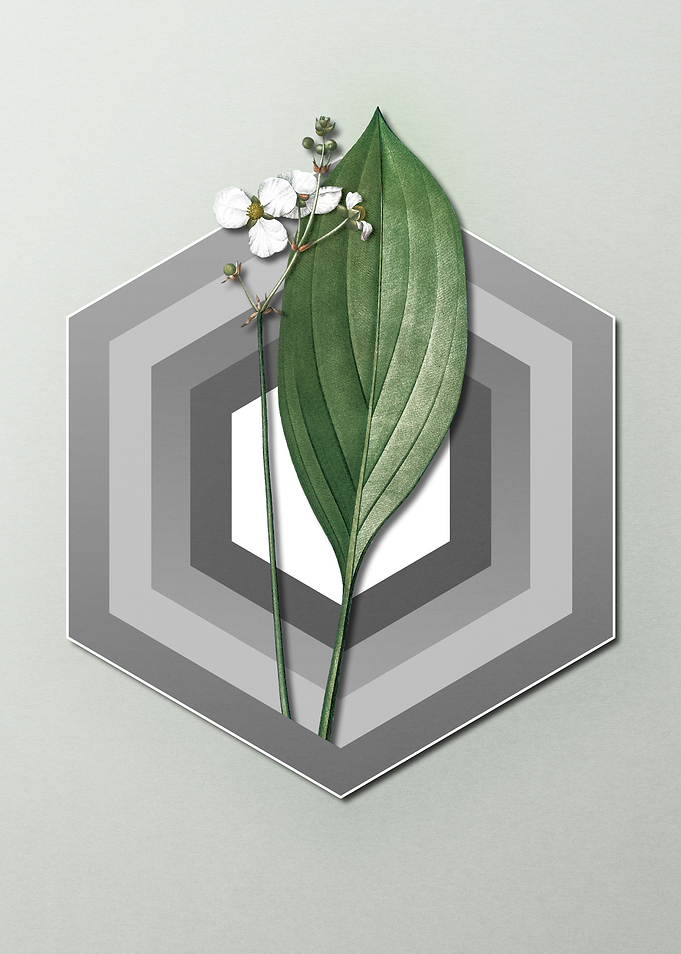 Geometric Floral Arrowhead