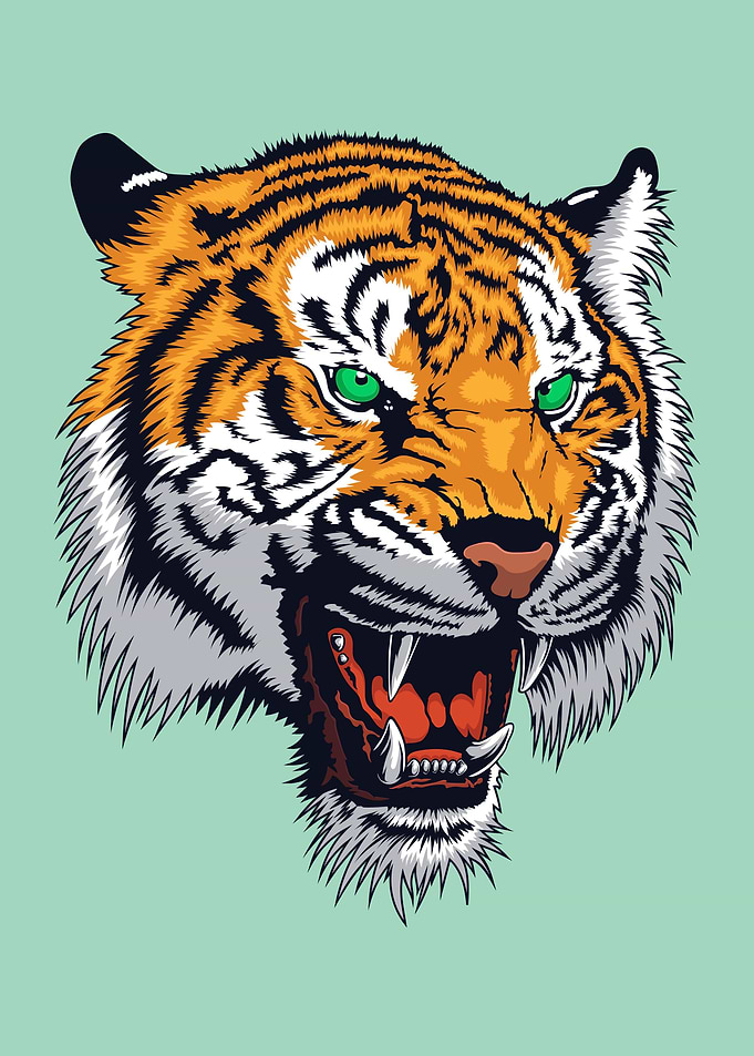 Cool Tiger