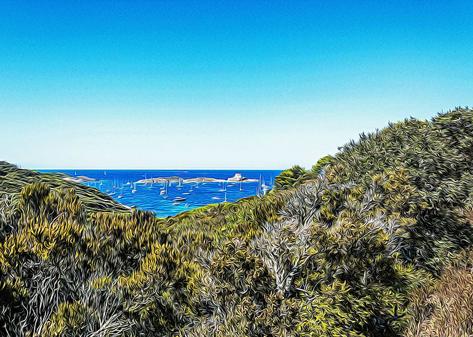 Porquerolles seacoast