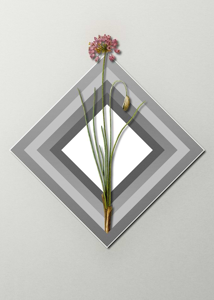 Florals on Paper Diamonds