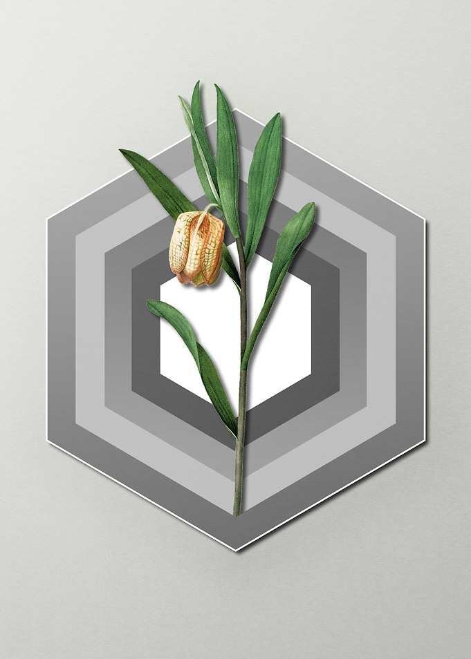 Pastel Floral on Geometric