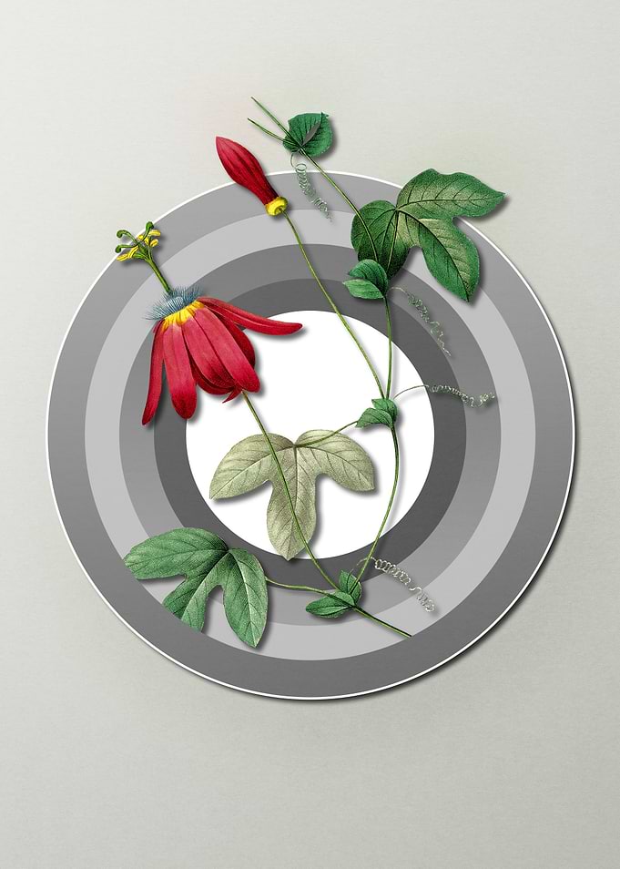 Spring Pastel Red Flower