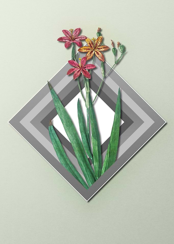 Light Spring Pastel Lily