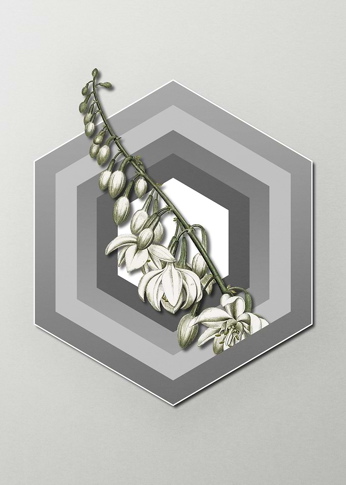 Pastel Floral Giant Cabuya