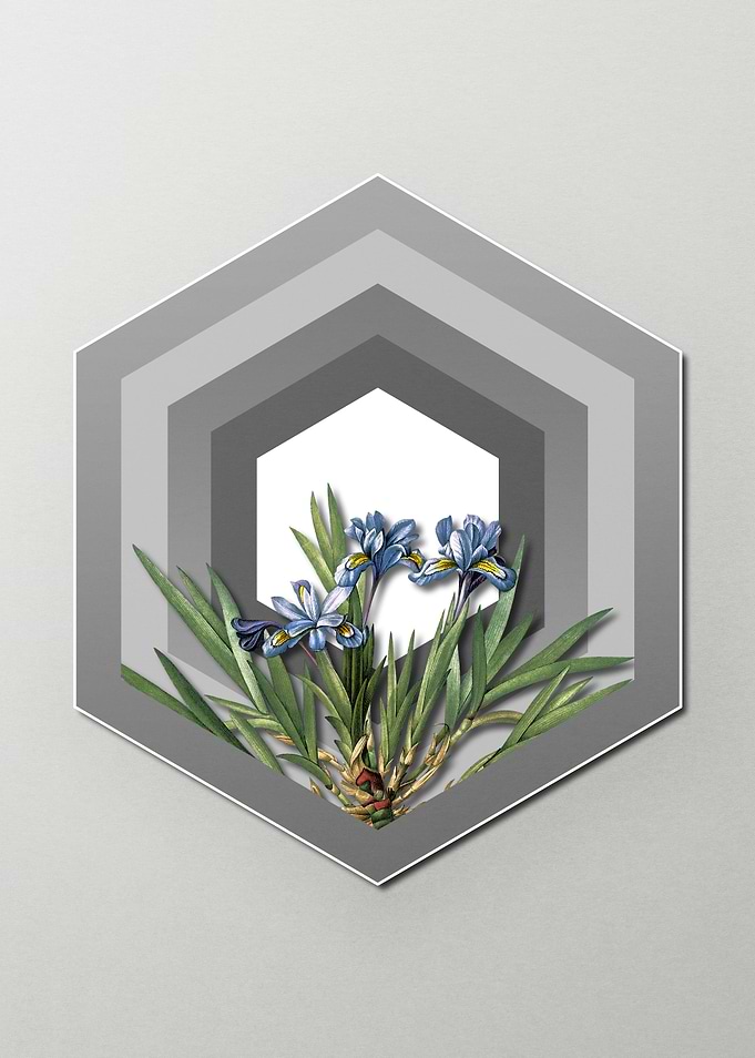 Blue iris On Paper Shield