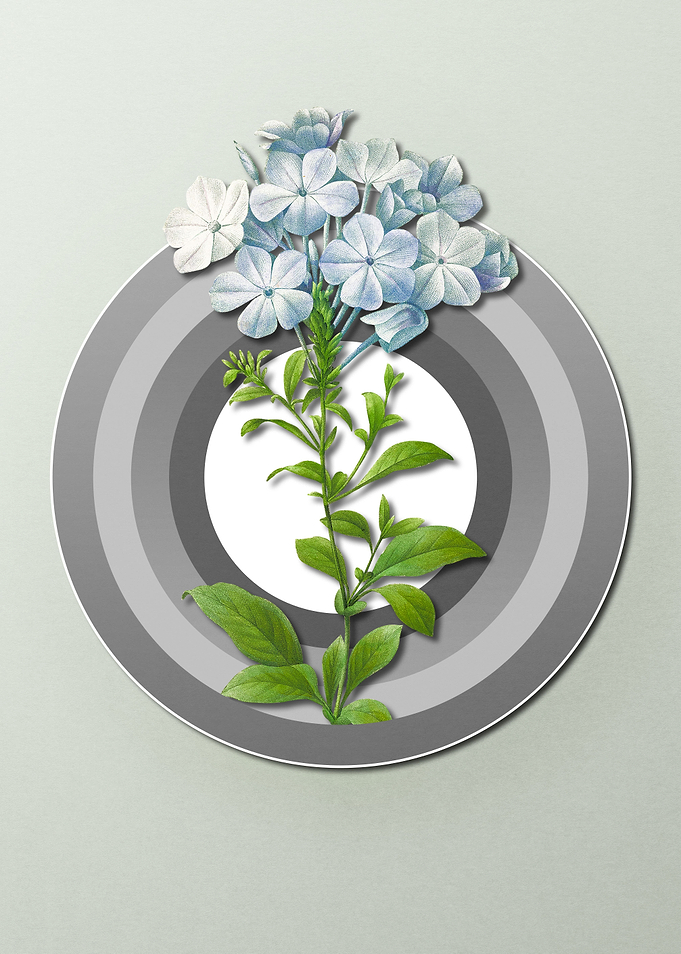 Spring Pastel Blue Flower