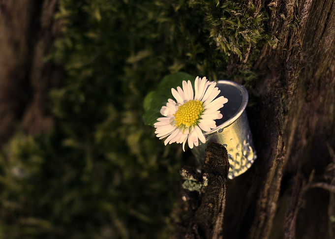 Simplicity