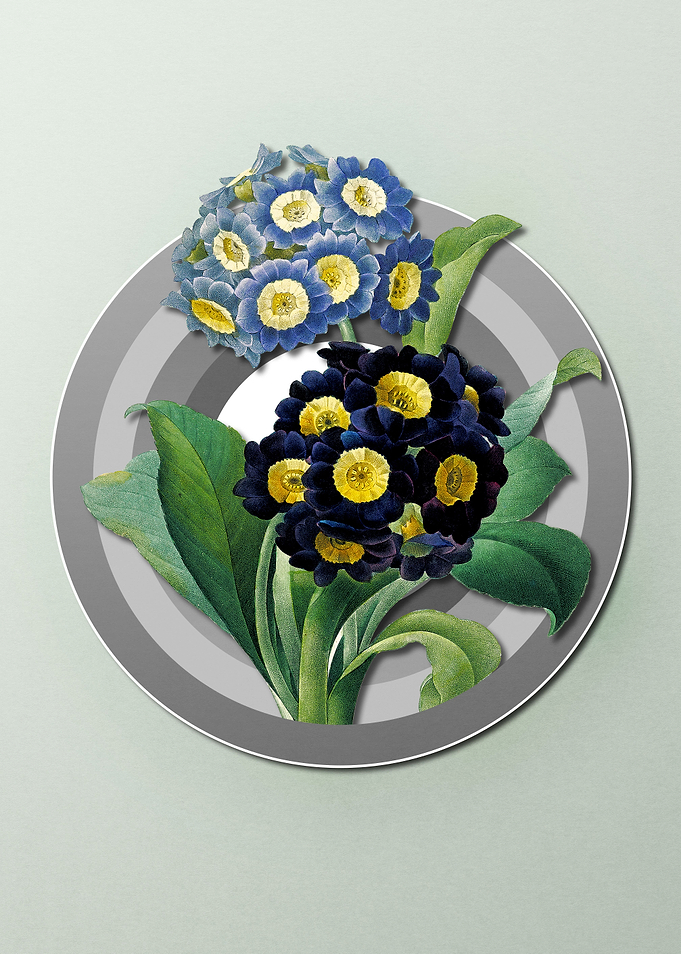 Geometric Floral Cowslip