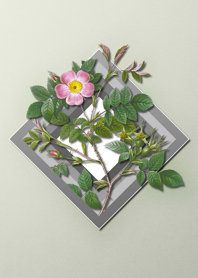 Spring Floral on Geometric