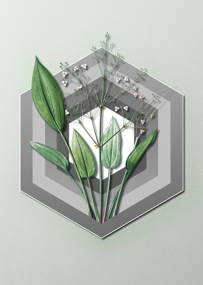 Plantain Geometric Pastel