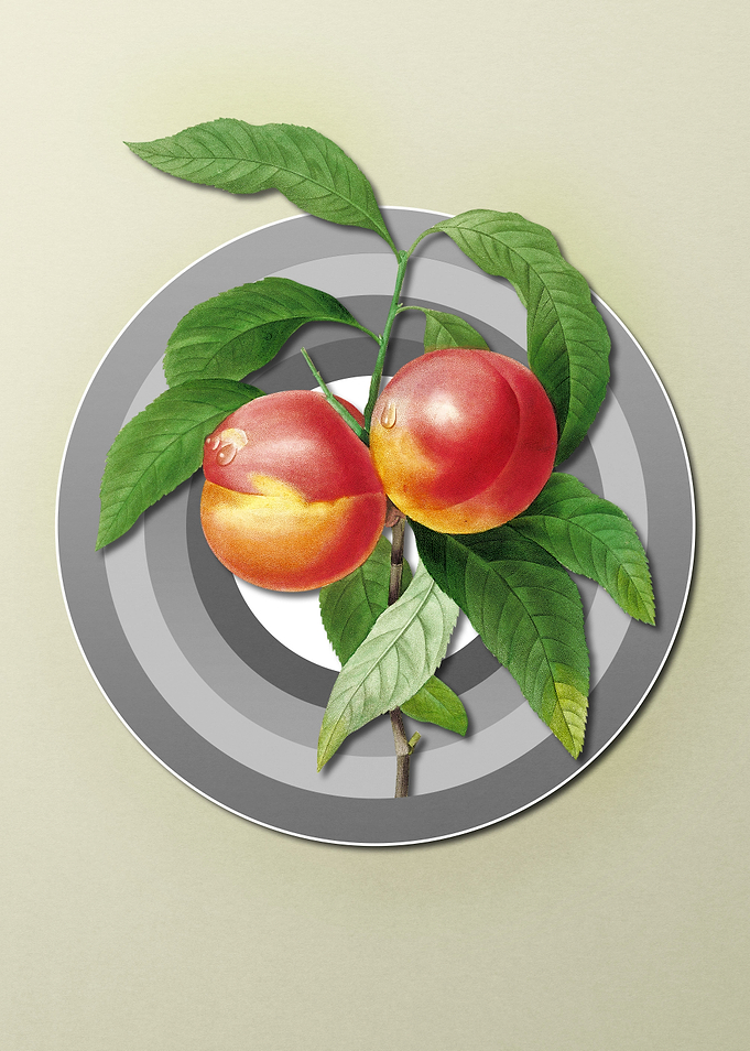 Spring Pastel Peach Fruit