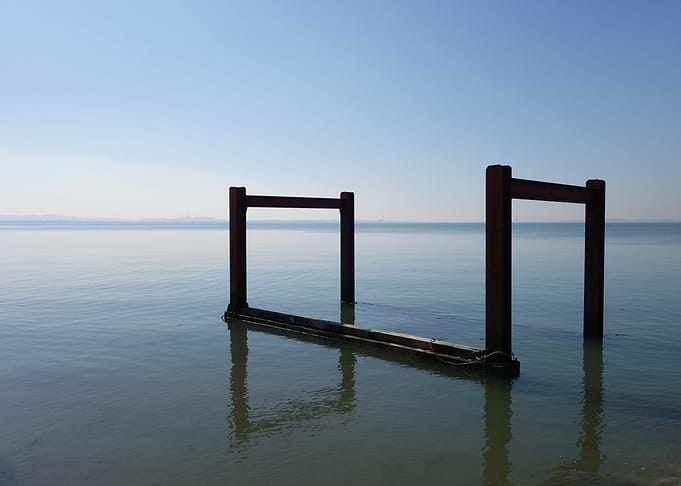 Wooden stakes