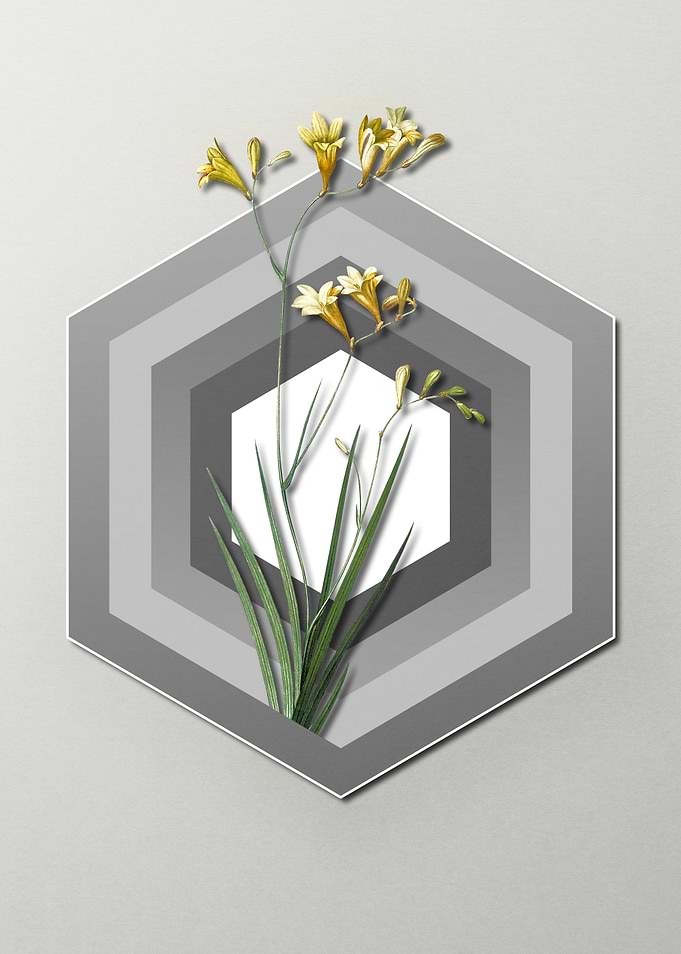 Pastel Floral Freesia