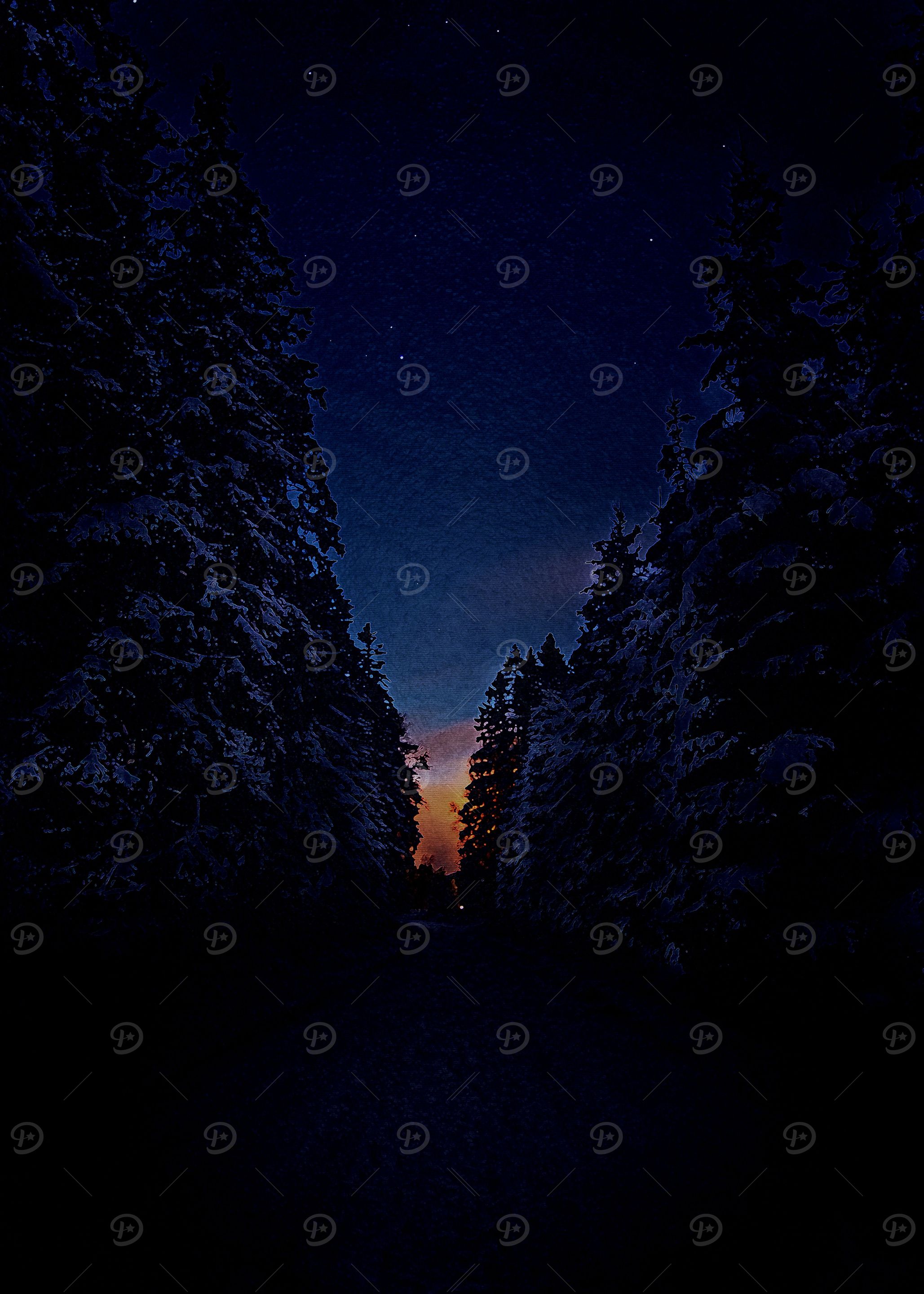 light in the forest