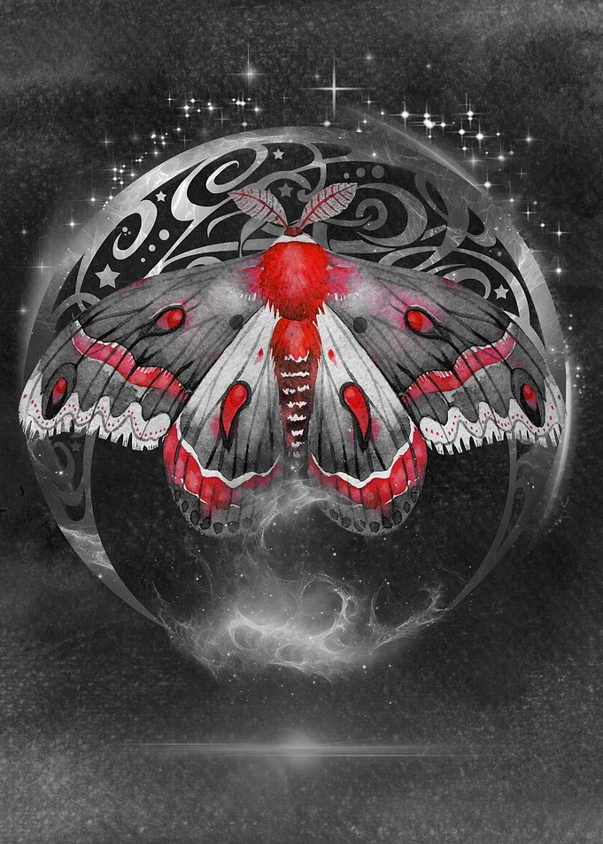 Mystical Moth with Moon