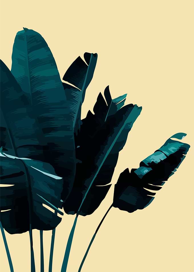banana leaves