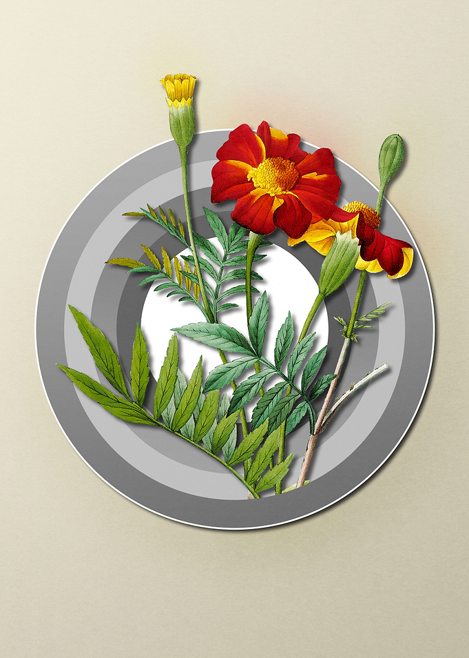 Geometric Floral Marigold