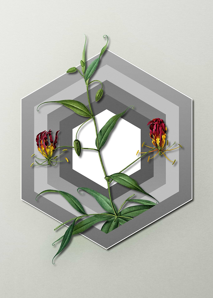 Lily on Geometric Pastel