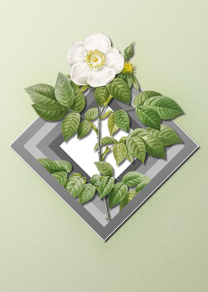 Spring Floral on Geometric