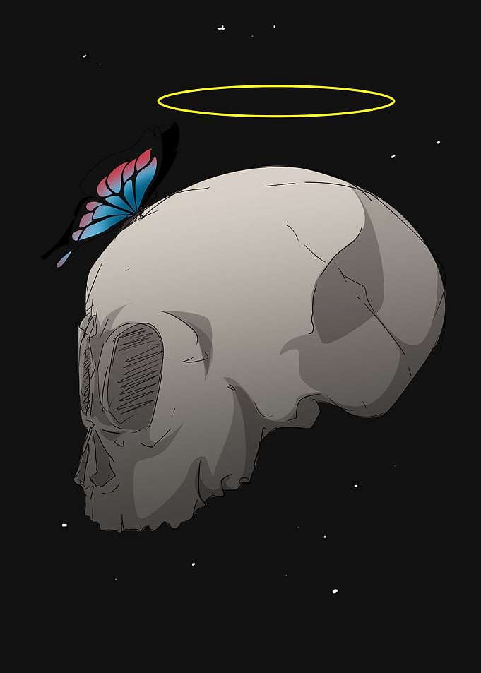 skull and butterfly