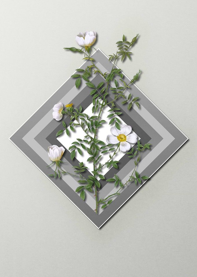 Spring Floral on Geometric