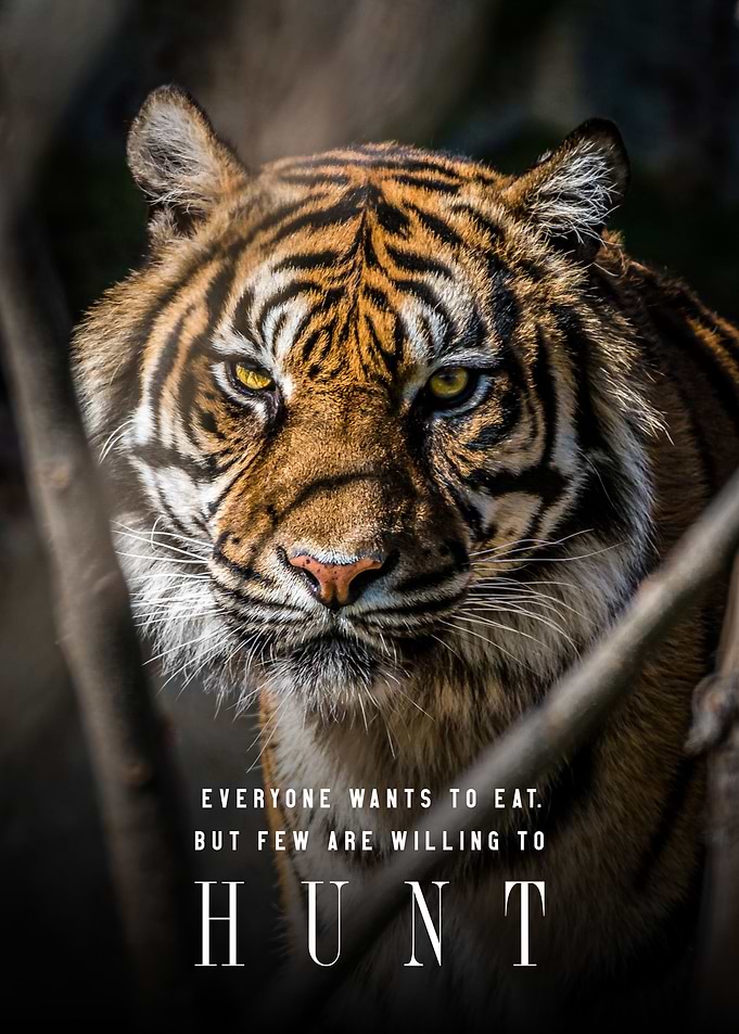 Few Are Willing To Hunt