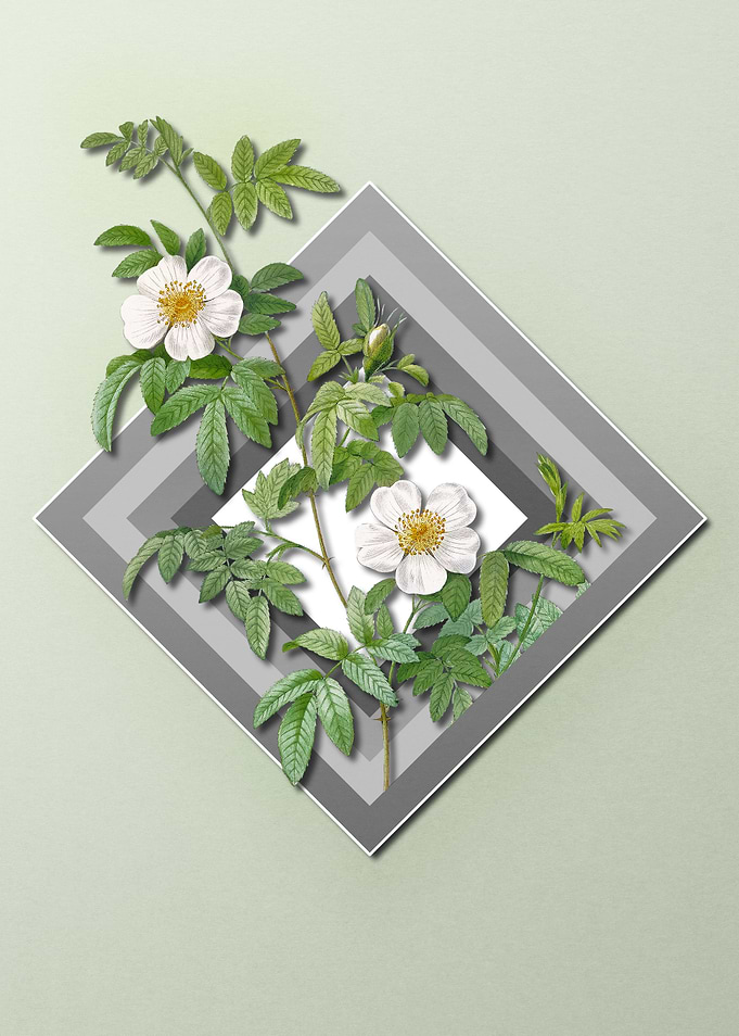 Spring Floral on Geometric