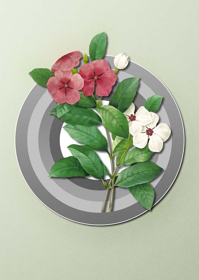 Spring Pastel Periwinkle