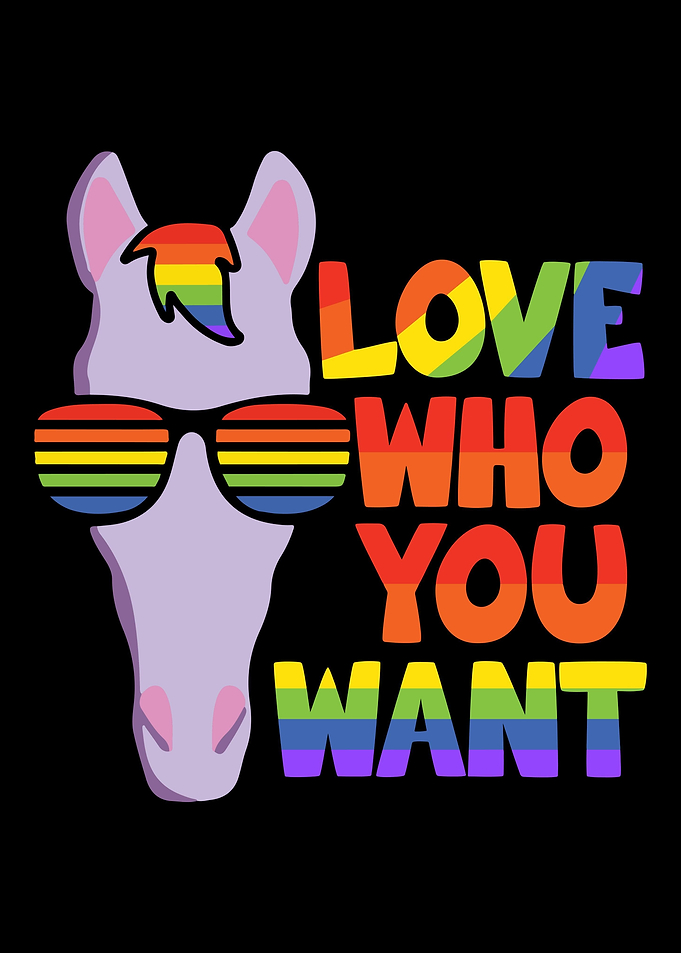 Gay Lesbian LGBT Horse