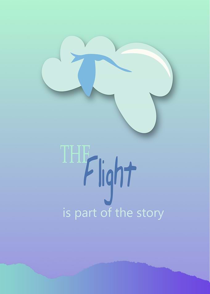 The flight