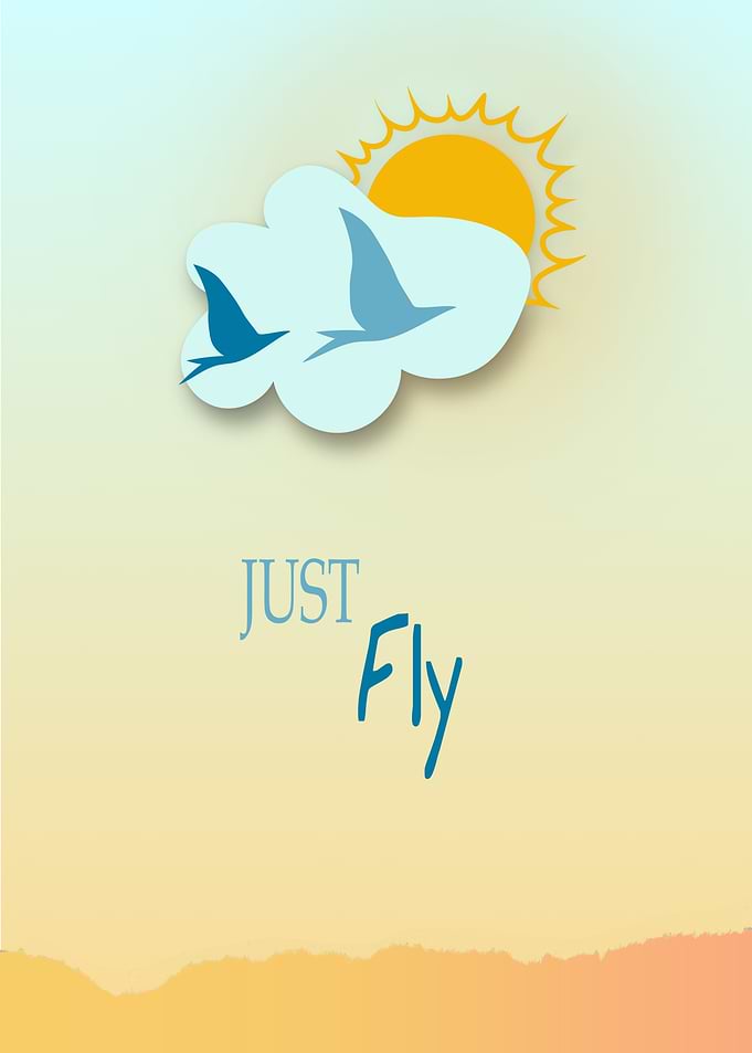 Just Fly