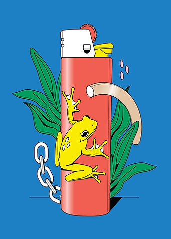 Lighter Frog