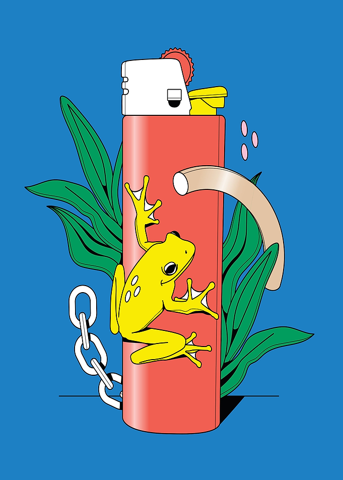 Lighter Frog