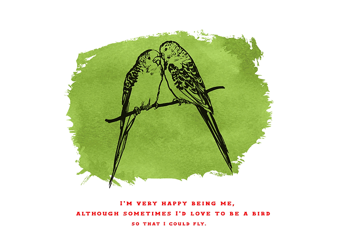 Bird
