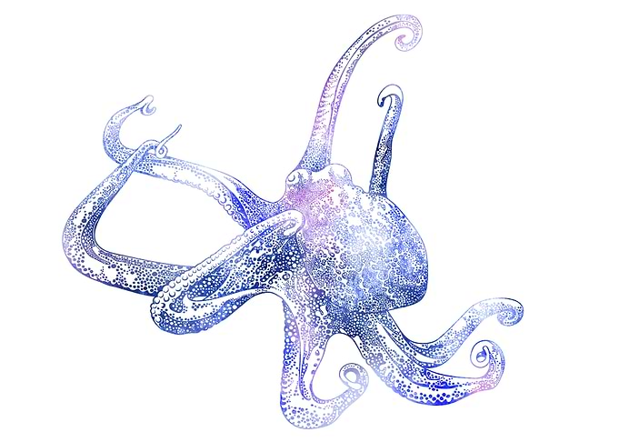 Akkorokamui