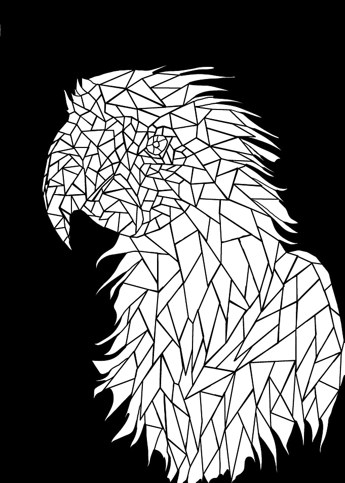 Parrot Ara