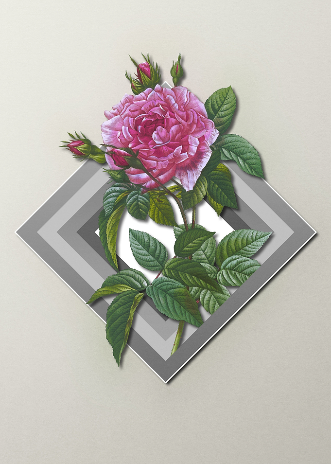 Floral Geometric Red Roses