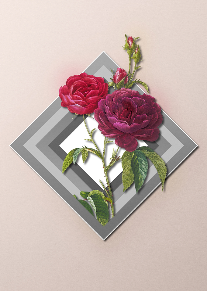 Floral Geometric Red Roses