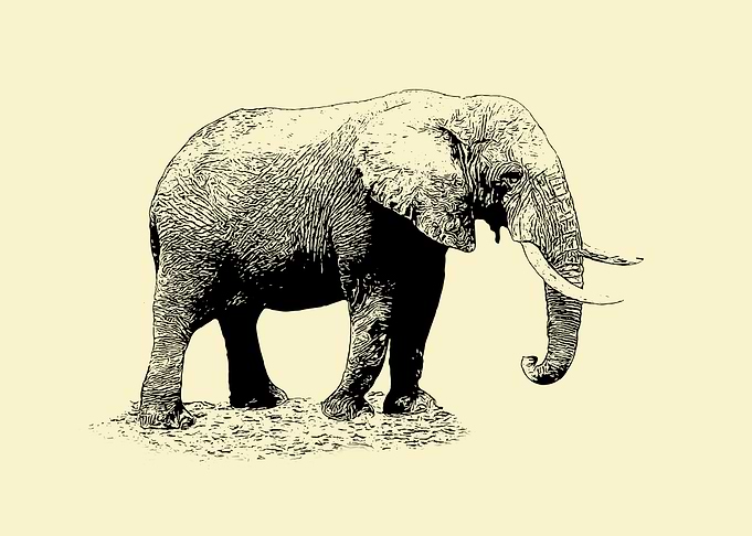 Walking elephant
