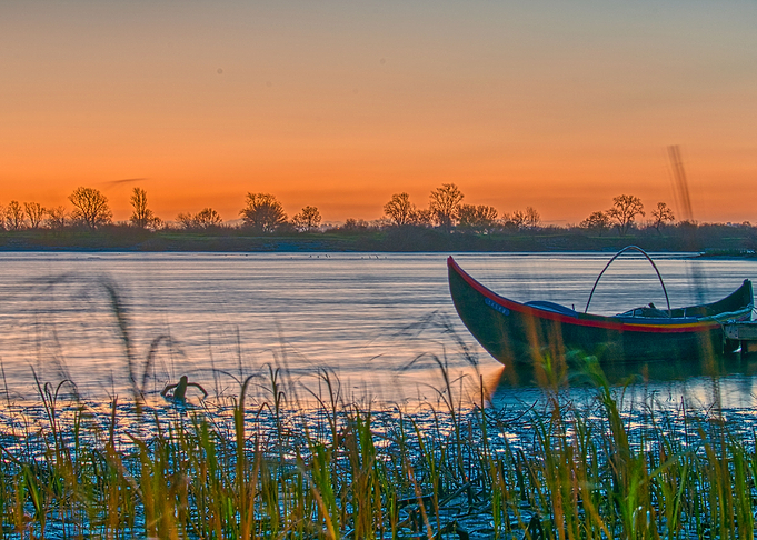 The fishing boat