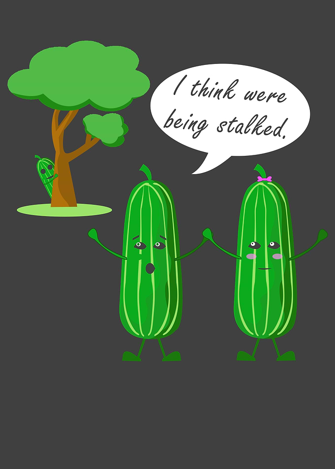 Cucumber stalked