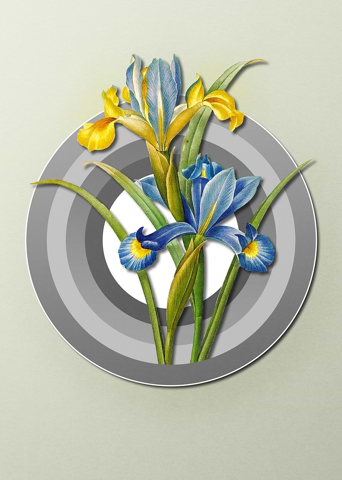 Geometric Flora Iris